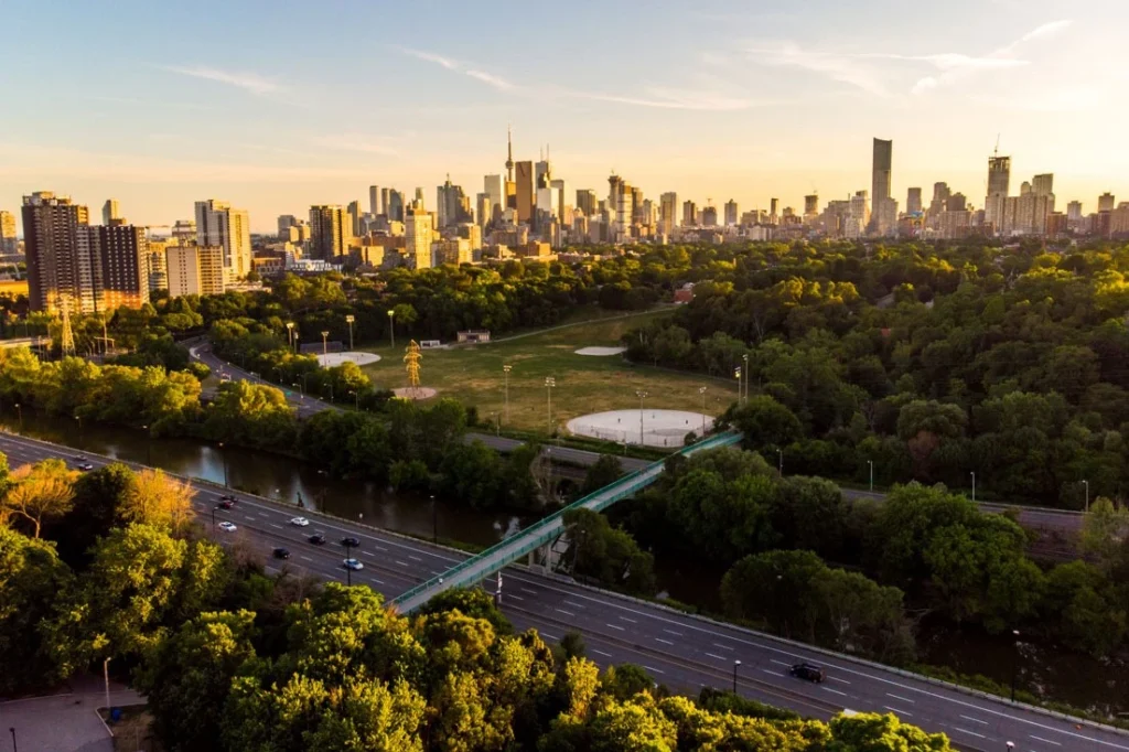 urban forestery in canada